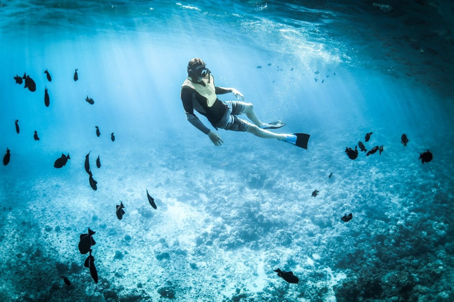 Snorkeling in Puerto Escondido, Mexico in 2024